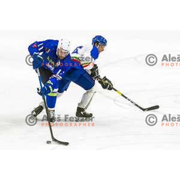 Anze Kopitar in action during friendly Ice-Hockey match between Slovenia and Italy in Bled Ice Hall, Slovenia on April 24, 2019