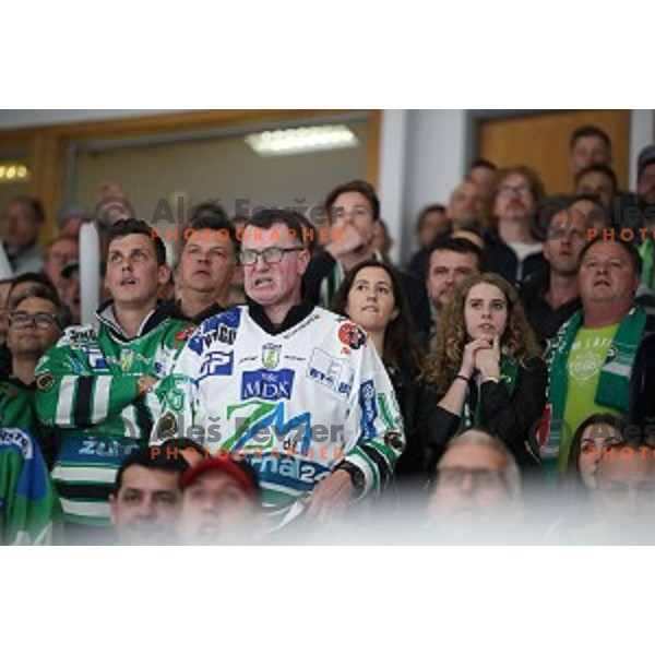 of SZ Olimpija in action during Slovenian League ice-hockey match between SZ Olimpija and SIJ Acroni Jesenice in Tivoli Hall, Ljubljana, Slovenia on April 25, 2019