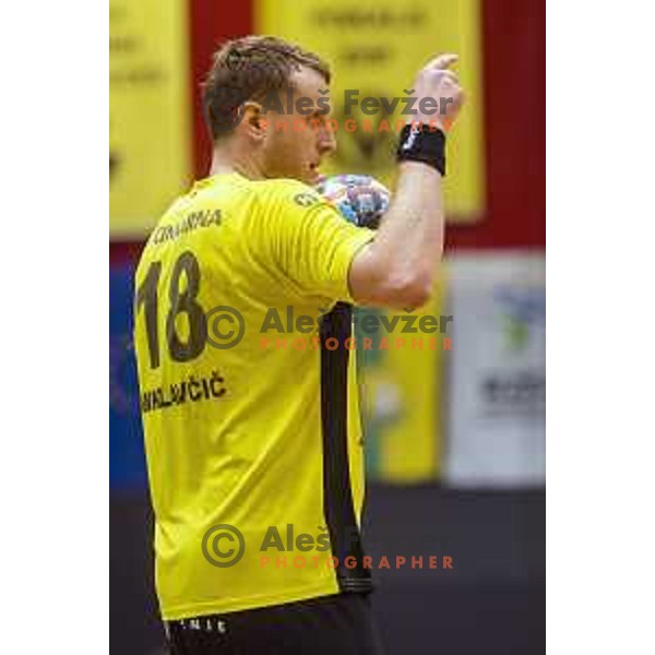 David Miklavcic in action during 1.NLB league handball match between Gorenje and Celje Pivovarna Lasko in Red Hall, Velenje on April 27, 2019