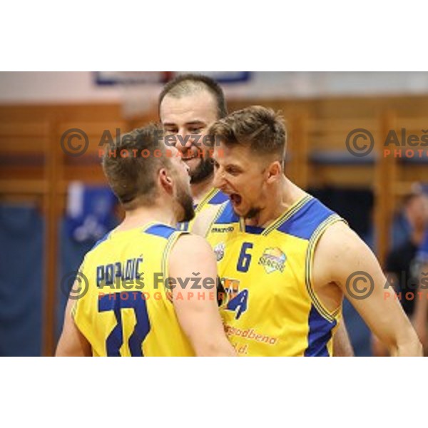 Marko Popadic in action during Nova KBM league playoff basketball match between Sencur GGD and Petrol Olimpija in Sencur Sports Hall, Slovenia on May 4, 2019