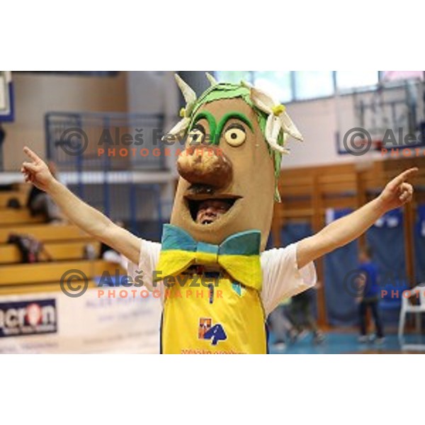 action during Nova KBM league playoff basketball match between Sencur GGD and Petrol Olimpija in Sencur Sports Hall, Slovenia on May 4, 2019