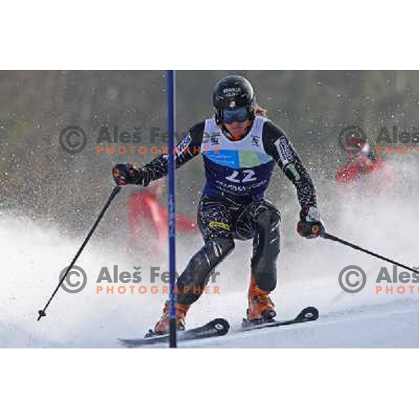 Ted Ligety skiing in second run of Europa Cup slalom in Kranjska gora, Slovenia 15.2.2008 