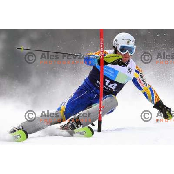 Johan Brolenius skiing in first run of Europa Cup slalom in Kranjska gora, Slovenia 15.2.2008 