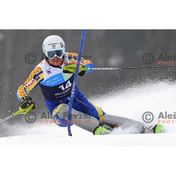 Johan Brolenius skiing in first run of Europa Cup slalom in Kranjska gora, Slovenia 15.2.2008 