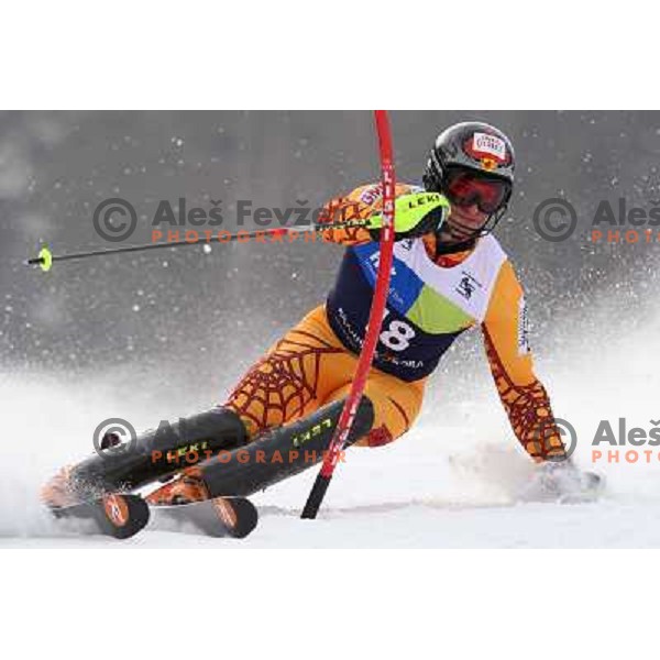 Michael Janyk skiing in first run of Europa Cup slalom in Kranjska gora, Slovenia 15.2.2008 