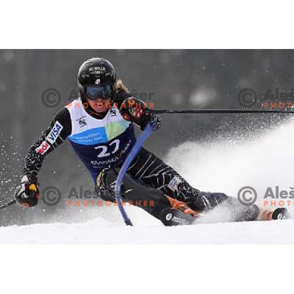 Ted Ligety skiing in first run of Europa Cup slalom in Kranjska gora, Slovenia 15.2.2008 