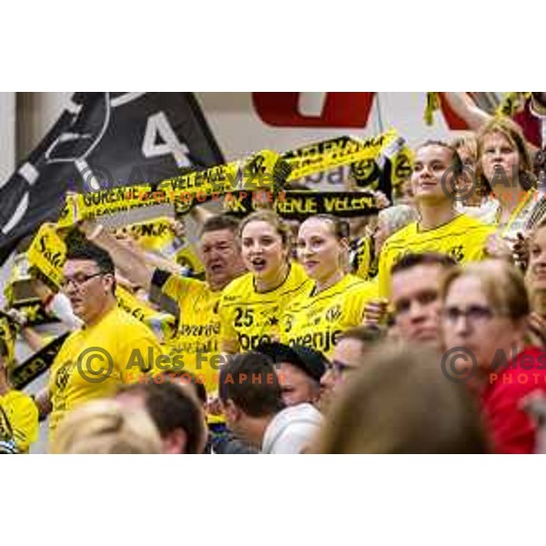 Gorenje Velenje, winners of Slovenian Handball Cup Final between Gorenje Velenje and Krka in Marof Hall, Novo Mesto on May 12, 2019