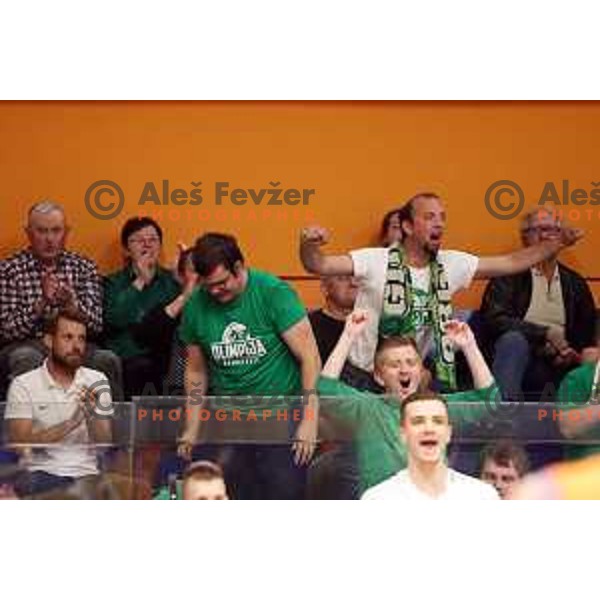in action during semi-final of Nova KBM league basketball match between Helios Suns and Petrol Olimpija in Domzale Sports Hall, Slovenia on May 13, 2019