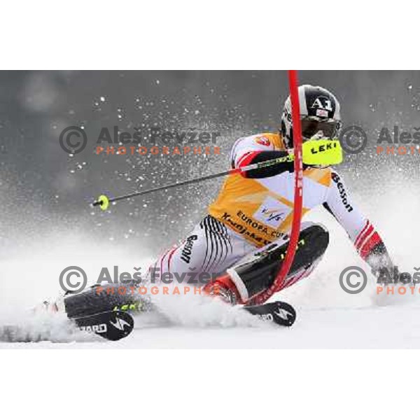Marcel Hirscher skiing in first run of Europa Cup slalom in Kranjska gora, Slovenia 15.2.2008 