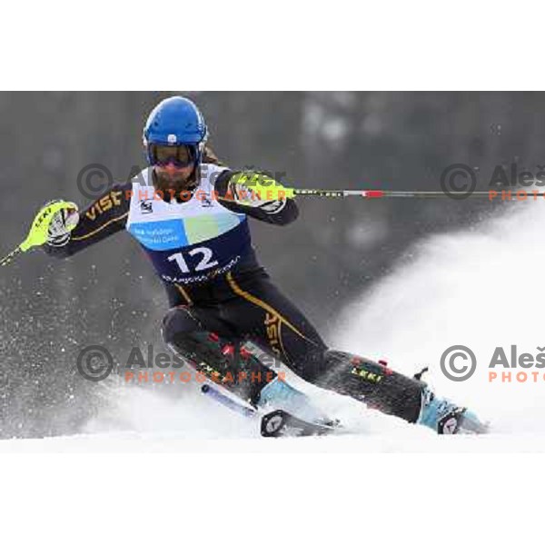 Filip Trejbal skiing in first run of Europa Cup slalom in Kranjska gora, Slovenia 15.2.2008 