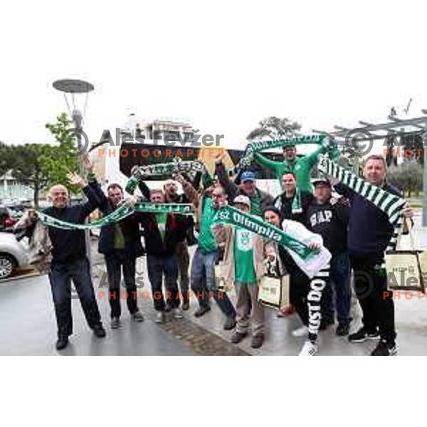 first game in The Final of Nova KBM League basketball match between Sixt Primorska and Petrol Olimpija in Bonifika Arena,Koper, Slovenia on May 18, 2019