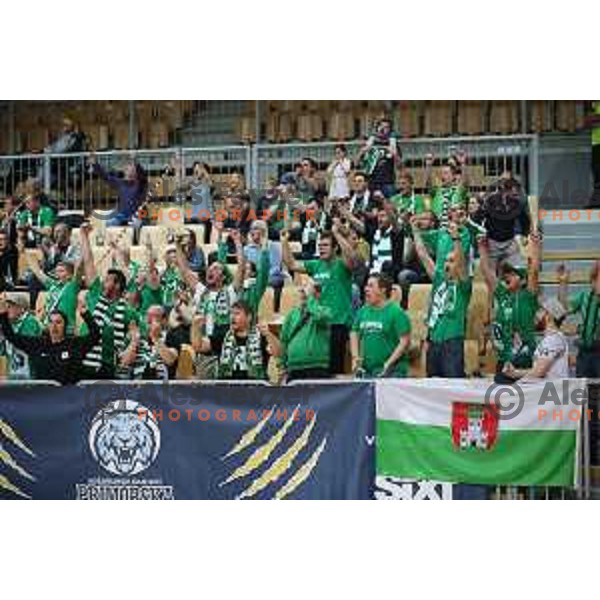 Fans of Petrol Olimpija in action during first game in The Final of Nova KBM League basketball match between Sixt Primorska and Petrol Olimpija in Bonifika Arena,Koper, Slovenia on May 18, 2019