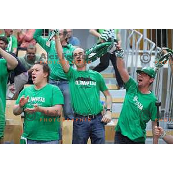 Fans of Petrol Olimpija in action during first game in The Final of Nova KBM League basketball match between Sixt Primorska and Petrol Olimpija in Bonifika Arena,Koper, Slovenia on May 18, 2019
