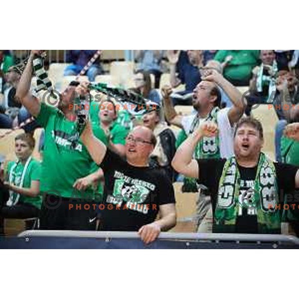 Fans of Petrol Olimpija in action during first game in The Final of Nova KBM League basketball match between Sixt Primorska and Petrol Olimpija in Bonifika Arena,Koper, Slovenia on May 18, 2019