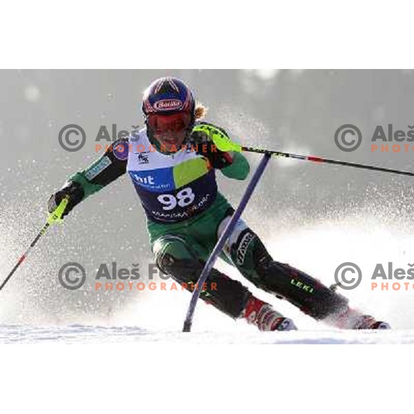 Tomaz Velecic skiing in first run of Europa Cup slalom in Kranjska gora, Slovenia 15.2.2008 