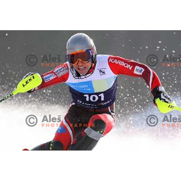 Patrick Jazbec skiing in first run of Europa Cup slalom in Kranjska gora, Slovenia 15.2.2008 