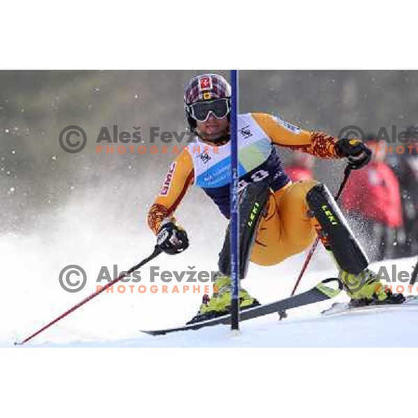 Paul Stutz skiing in second run of Europa Cup slalom in Kranjska gora, Slovenia 15.2.2008 