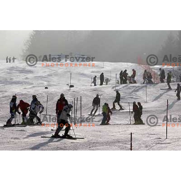 Skiers at course inspection before second run of Europa Cup slalom in Kranjska gora, Slovenia 15.2.2008 