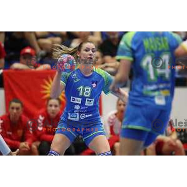 action during Slovenia and Northern Macedonia handball match in Celje on June 6, 2019