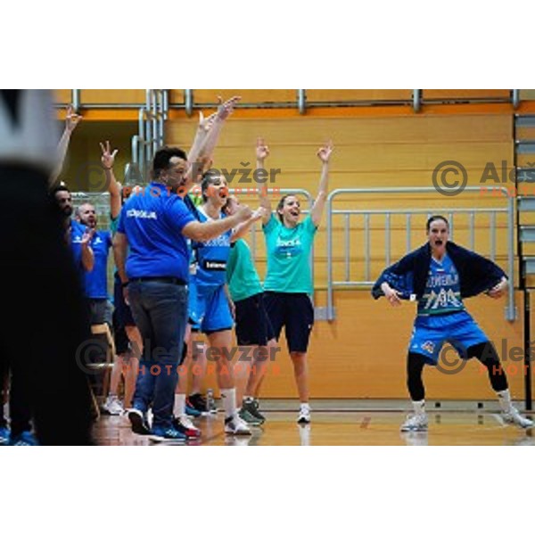 Nika Baric in action during friendly Women\'s basketball match between Slovenia and Great Britain in Polaj Hall, Trbovlje on June 7, 2019