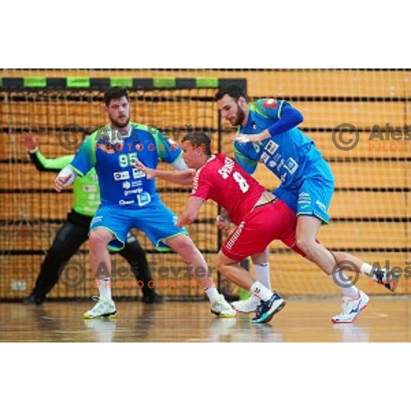 Borut Mackovsek in action during friendly handball match between Slovenia and Austria in Cerklje na Gorenjskem sports hall on June 8, 2019