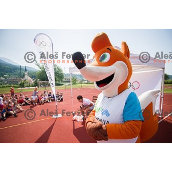 Zan Kosir, Slovenian olympic medalist in parallel snowboard during Olympic day with school children in Krize, Slovenija on June 12, 2019