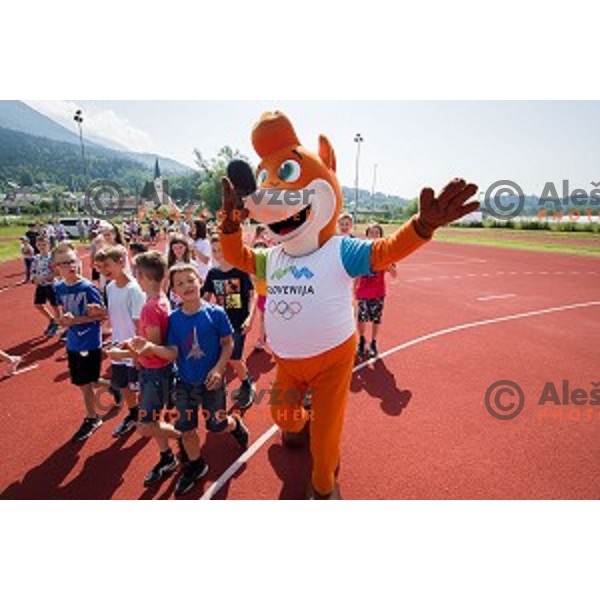 School children during Olympic day in Krize, Slovenija on June 12, 2019