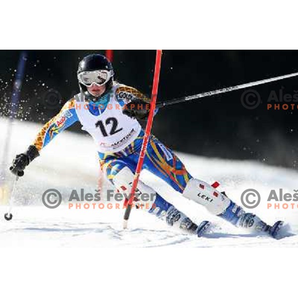 Natalie Hermansson at slalom race for 33. Loka Cup, international children skiing competition in Stari Vrh, Skofja Loka, Slovenia on 16.2.2008 