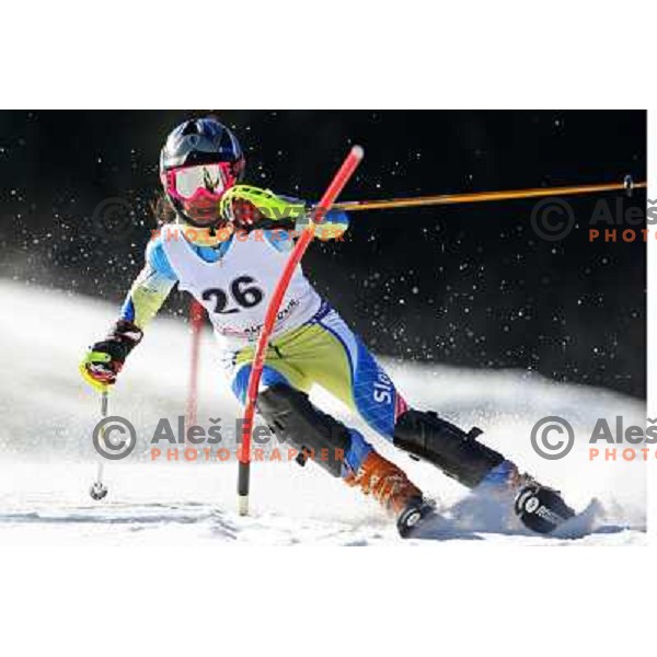 Eli Plut at slalom race for 33. Loka Cup, international children skiing competition in Stari Vrh, Skofja Loka, Slovenia on 16.2.2008 