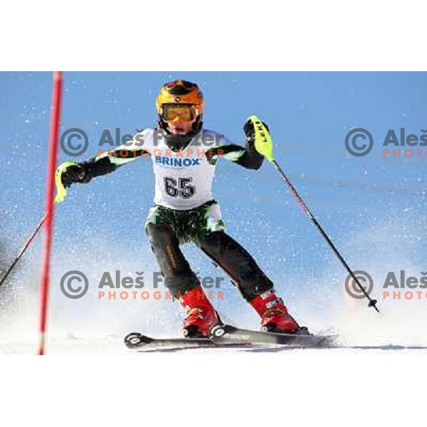 Stanislav Barbin (RUS) at slalom race for 33. Loka Cup, international children skiing competition in Stari Vrh, Skofja Loka, Slovenia on 16.2.2008 
