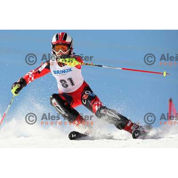 Iztok Rodes (CRO) at slalom race for 33. Loka Cup, international children skiing competition in Stari Vrh, Skofja Loka, Slovenia on 16.2.2008 