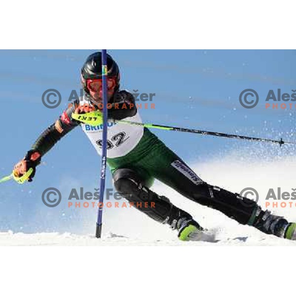 Sterle Nik (SLO) at slalom race for 33. Loka Cup, international children skiing competition in Stari Vrh, Skofja Loka, Slovenia on 16.2.2008 