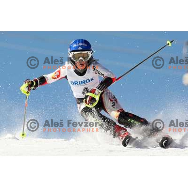 Ines Beran (AUT) at slalom race for 33. Loka Cup, international children skiing competition in Stari Vrh, Skofja Loka, Slovenia on 16.2.2008 