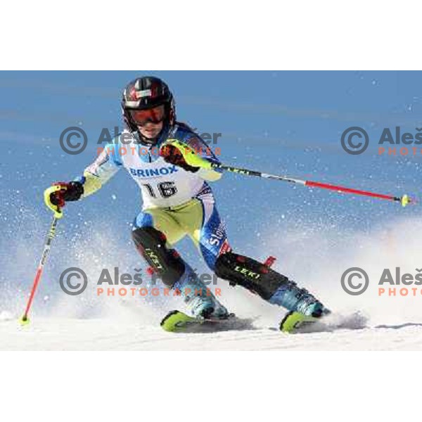 Sasa Brezovnik at slalom race for 33. Loka Cup, international children skiing competition in Stari Vrh, Skofja Loka, Slovenia on 16.2.2008 