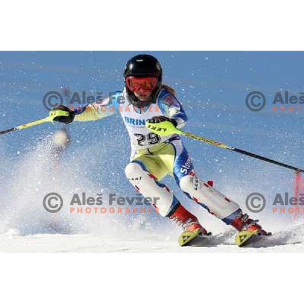 Nika Kelc at slalom race for 33. Loka Cup, international children skiing competition in Stari Vrh, Skofja Loka, Slovenia on 16.2.2008 