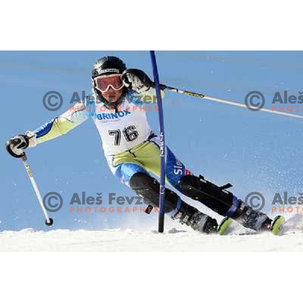 Ven Florjancic at slalom race for 33. Loka Cup, international children skiing competition in Stari Vrh, Skofja Loka, Slovenia on 16.2.2008 