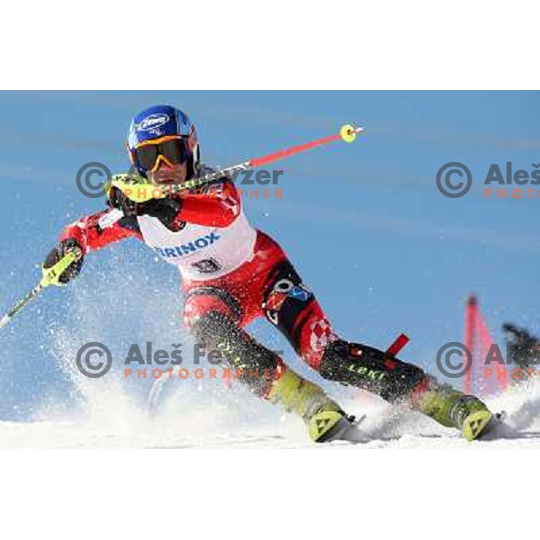 Tamara Zubcic (CRO) at slalom race for 33. Loka Cup, international children skiing competition in Stari Vrh, Skofja Loka, Slovenia on 16.2.2008 