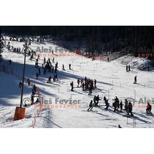 Skiers at course inspection before slalom race for 33. Loka Cup, international children skiing competition in Stari Vrh, Skofja Loka, Slovenia on 16.2.2008 