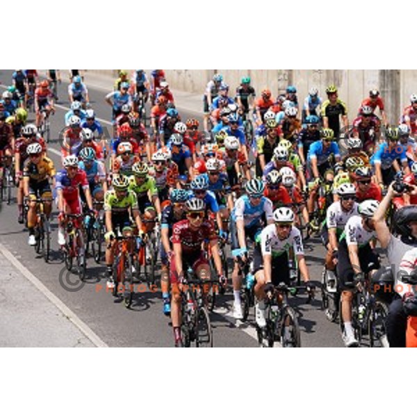 Cyclists on the road during first stage of 26.Tour of Slovenia, UCI cycling race between Ljubljana and Rogaska Slatina on June 19, 2019