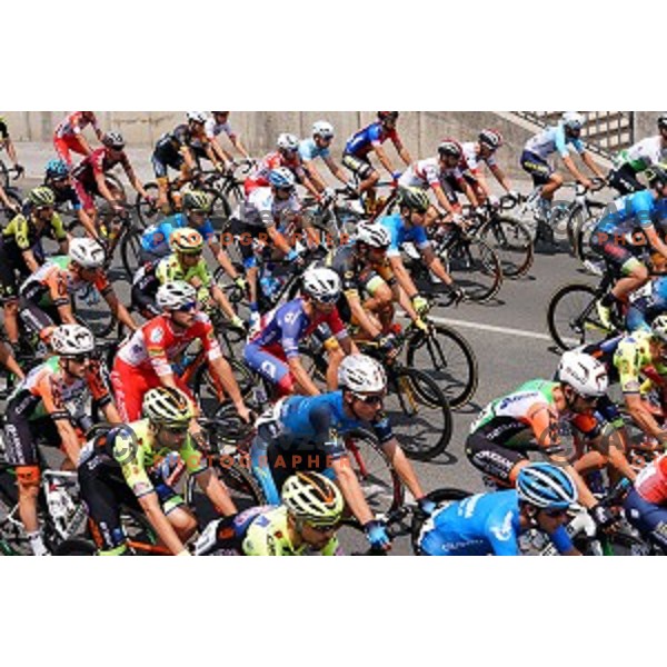 Cyclists on the road during first stage of 26.Tour of Slovenia, UCI cycling race between Ljubljana and Rogaska Slatina on June 19, 2019