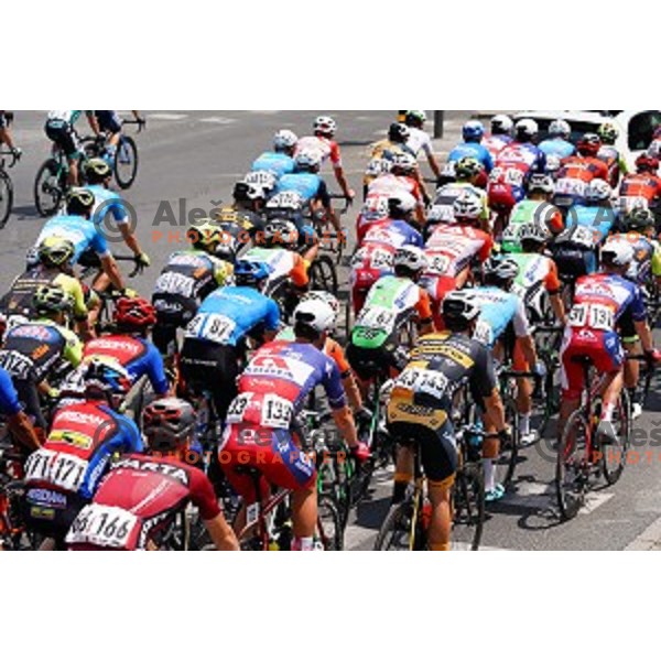 Cyclists on the road during first stage of 26.Tour of Slovenia, UCI cycling race between Ljubljana and Rogaska Slatina on June 19, 2019