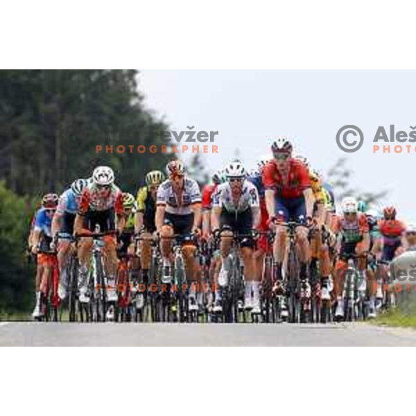 Pascal Ackermann, winner of first stage of 26.Tour of Slovenia, Mark Cavendish and Marcel Sieberg at UCI cycling race between Ljubljana and Rogaska Slatina on June 19, 2019