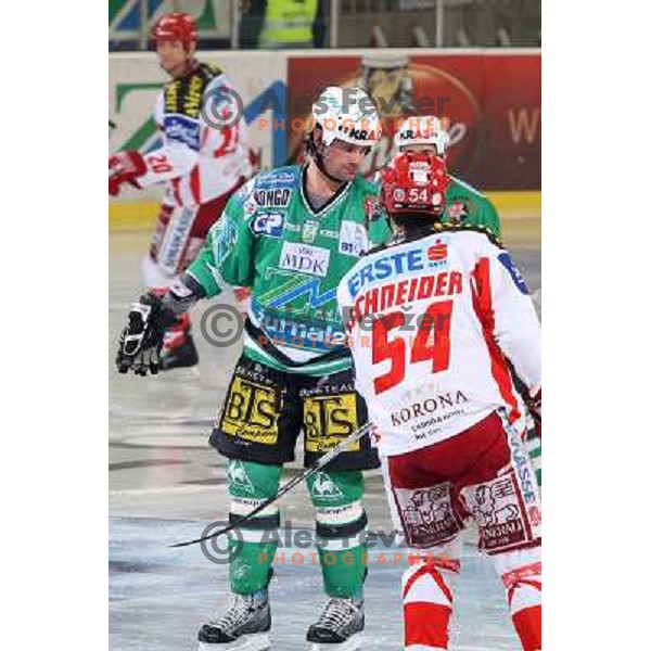 Elik at ice-hockey match ZM Olimpija- KAC in quarter final of Ebel league, played in Ljubljana (Slovenia) 17.2.2008.ZM Olimpija won the match 4:0 and lead series 2:0. 