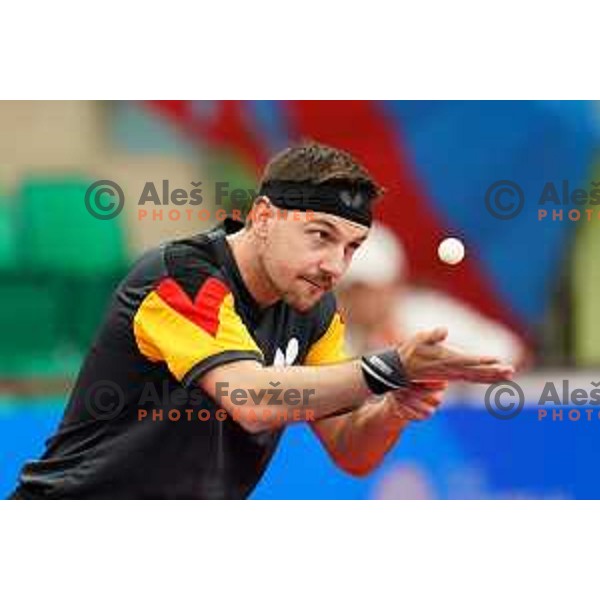 Timo Boll (GER) competes in Table Tennis Men\'s single at 2nd European Games, Minsk, Belarus on June 23, 2019