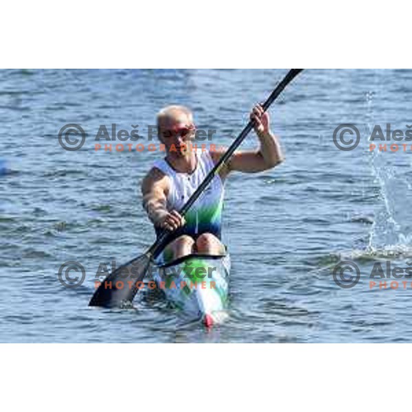 Jost Zakrajsek of Slovenia competes in B final of Men\'s K1 1000 meters at 2nd European Games, Minsk, Belarus on June 26, 2019