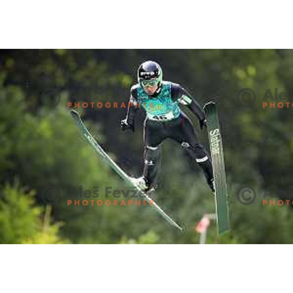 Cene Prevc at Ski jumping Continental Cup, Kranj on July 6, 2019