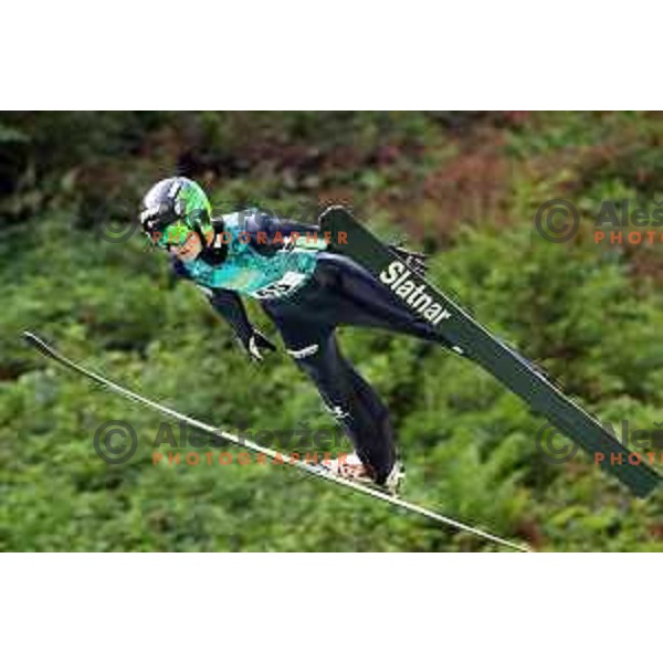 Jernej Presecnik at Ski jumping Continental Cup, Kranj on July 6, 2019