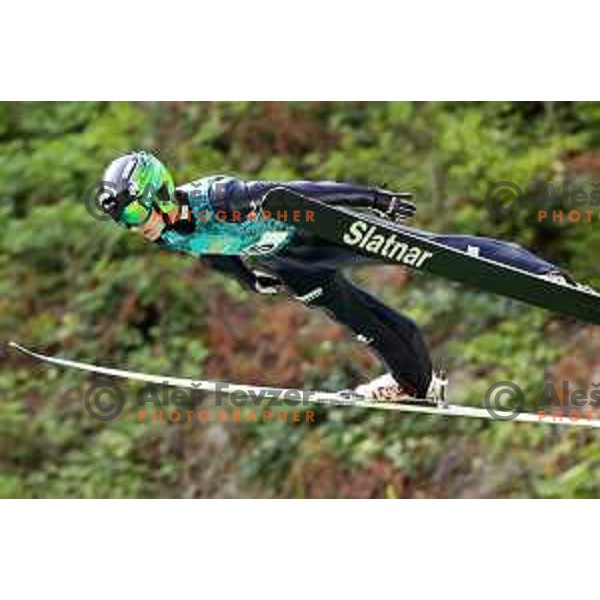 Jernej Presecnik at Ski jumping Continental Cup, Kranj on July 6, 2019