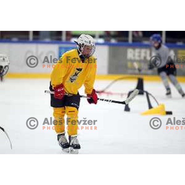 Summer Ice Hockey Academy in Bled Ice Hockey Hall, Slovenia on July 9, 2019