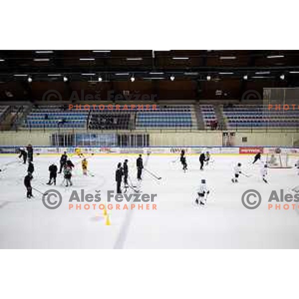 Summer Ice Hockey Academy in Bled Ice Hockey Hall, Slovenia on July 9, 2019